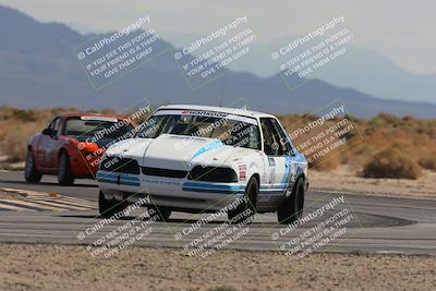 media/Oct-11-2025-Lucky Dog Racing (Sat) [[f5b53147c4]]/2-First Stint/5-Turn 16/